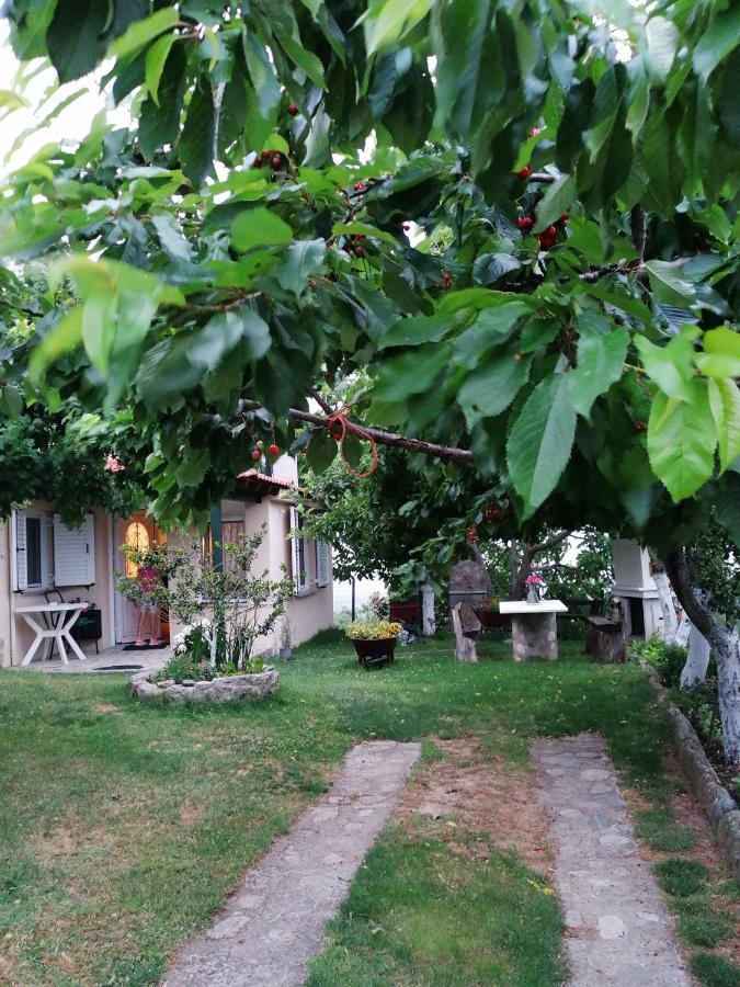 Ferienwohnung Meteora'S Sunset Kalambaka Exterior foto